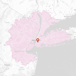 NY_map_bcakeny_pink.png